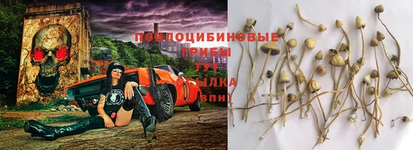 ALPHA-PVP Арсеньев